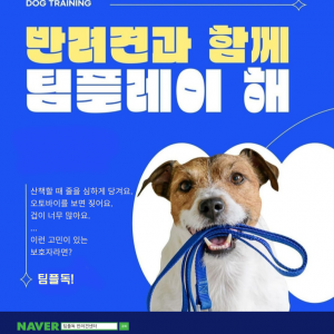 [세종 반곡동] 강아지 훈련소